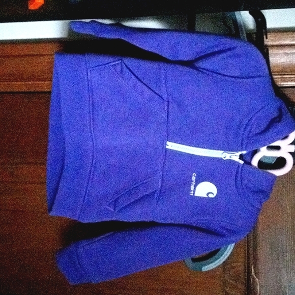 Purple Carhartt Hoodie - Picture 1 of 2